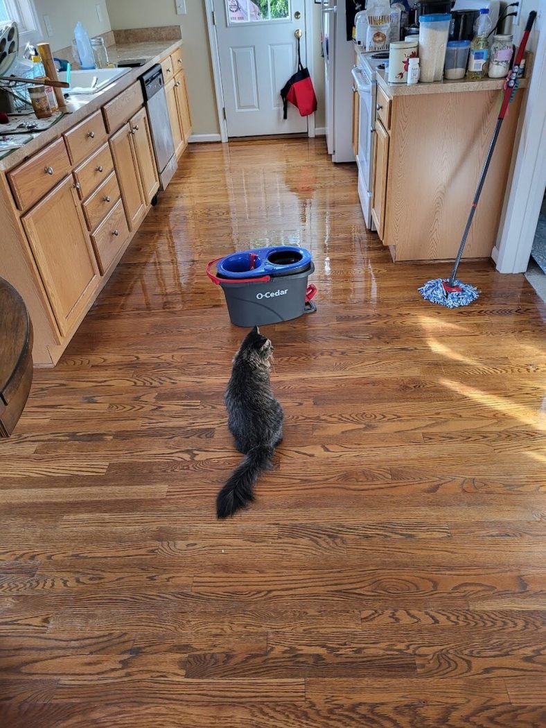 Professional Home Deep Cleaning Service